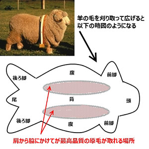 平織り・タッサー織り図解