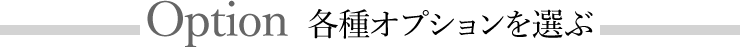 各種オプションを選ぶ