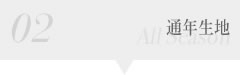 通年生地